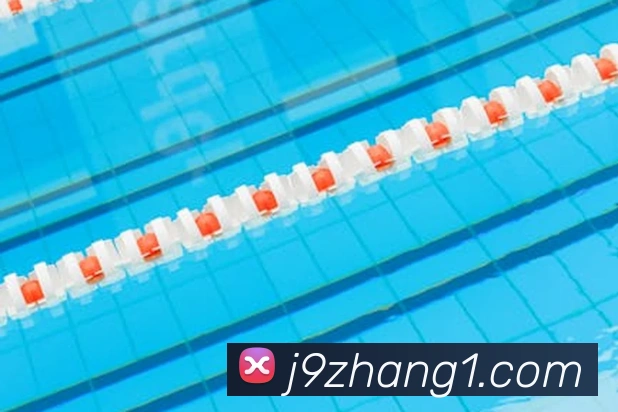 奖项证书